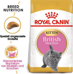 Royal Canin British Shorthair Kitten Trockenfutter Geflügel 2 kg - 2 kg – Bild 1 von 8
