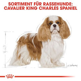 Produktbild von Royal Canin Cavalier King Charles Adult Mini Light Hundefutter zur Gewichtskontrolle 2x 1,5 kg - 2 x 1,5 kg