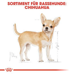 Produktbild von Royal Canin Chihuahua Adult Hundefutter Mini mit Zahnpflege und Verdauungsunterstützung 2x3 kg - 2 x 3 kg