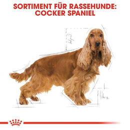 Produktbild von Royal Canin Cocker Adult Hundefutter zur Gewichtskontrolle 2x12 kg - 2 x 12 kg