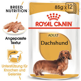 Royal Canin Dachshund Adult Hundefutter Mousse mit Krustentieren für Gelenke und Knochen 12 x 85 g - 12 x 85 g – Bild 1 von 5