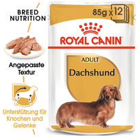 Produktbild von Royal Canin Dachshund Adult Hundefutter Mousse mit Krustentieren für Gelenke und Knochen 12 x 85 g - 12 x 85 g