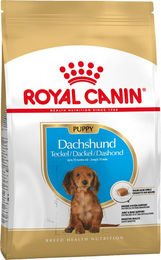 Royal Canin Dachshund Puppy Trockenhundefutter für Welpen mit Geflügel 1,5 kg - 3 x 1,5 kg – Bild 1 von 7