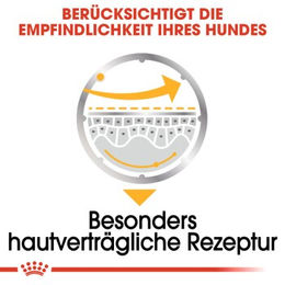 Produktbild von Royal Canin Dermacomfort Mousse Hund Nassfutter Haut und Fell 12x85g - 12 x 85 g