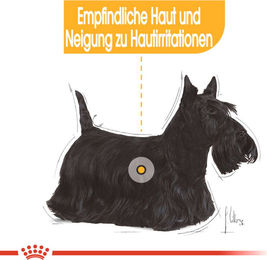Royal Canin Dermacomfort Mousse Nassfutter für Hunde mit empfindlicher Haut Adult 12 x 85 g - 12 x 85 g – Bild 1 von 6