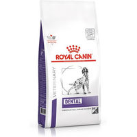 Produktbild von Royal Canin Expert Dental Medium & Large Adult Hundefutter mit Geflügel zur Zahnpflege 6 kg - 6 kg