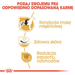Royal Canin French Bulldog Adult Trockenfutter für Hunde mit Geflügel und Schwein 9 kg - 9 kg – Bild 1 von 6
