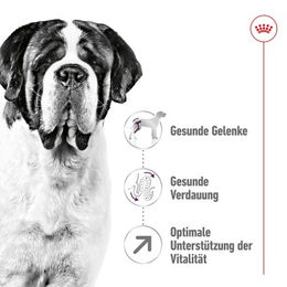 Royal Canin Giant Adult Trockenfutter für Riesenrassen mit Geflügel 4 kg - 4 kg – Bild 1 von 9