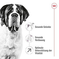Produktbild von Royal Canin Giant Adult Trockenfutter für Riesenrassen mit Geflügel 4 kg - 4 kg