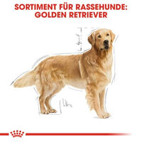 Produktbild von Royal Canin Golden Retriever Adult Hundefutter Light zur Gewichtskontrolle 2x12 kg - 2 x 12 kg