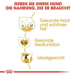Royal Canin Golden Retriever Adult Hundefutter mit Geflügel 3 kg - 3 kg – Bild 1 von 4