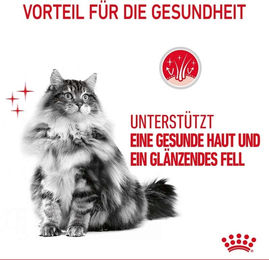 Royal Canin Hair & Skin Mousse Katzenfutter Adult 12x85 g - 12 x 85 g – Bild 1 von 5