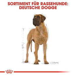 Produktbild von Royal Canin Hundefutter Deutsche Dogge Adult zur Unterstützung von Verdauung sowie Gelenken und Knochen 2x12 kg - 2 x 12 kg