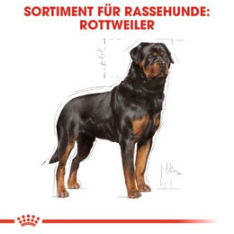 Produktbild von Royal Canin Hundefutter Rottweiler Adult für große Rassen 2x12 kg - 2 x 12 kg