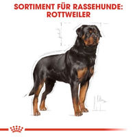 Produktbild von Royal Canin Hundefutter Rottweiler Adult für große Rassen 2x12 kg - 2 x 12 kg