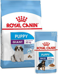 Produktbild von Royal Canin Hundefutter Set für Welpen von Riesenrassen und Maxi Puppy mit Stückchen in Sauce 3,5kg und 10x140g - 11 x 140 g