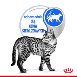 Royal Canin Indoor 7+ Sterilised Katzenfutter für Senior Wohnungskatzen in Gelee 12x85 g - 12 x 85 g – Bild 1 von 2