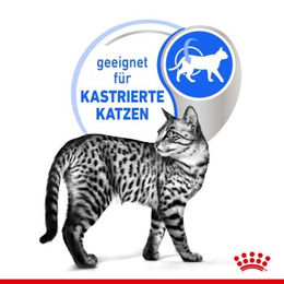 Produktbild von Royal Canin Indoor Sterilised Adult Katzenfutter Stückchen in Sauce 48x85 g - 48 x 85 g