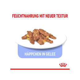 Royal Canin Indoor Sterilised Nassfutter für ausgewachsene Wohnungskatzen mit Stückchen in Gelee 12 x 85 g - 12 x 85 g – Bild 1 von 7