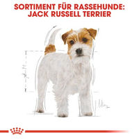 Produktbild von Royal Canin Jack Russell Terrier Adult Hundefutter mit Haut & Fell Unterstützung, Gewichtskontrolle und Zahnpflege 15 kg - 2 x 7,5 kg
