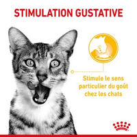Produktbild von Royal Canin Katzen Nassfutter Adult Huhn in Gelee 12x85g - 12 x 85 g