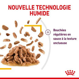 Royal Canin Katzen Nassfutter Adult Huhn in Sauce 12x85 g - 12 x 85 g – Bild 1 von 2