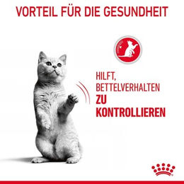 Royal Canin Katzen Trockenfutter Appetite Control Care Adult Geflügel zur Gewichtskontrolle 2 kg - 2 kg – Bild 1 von 8