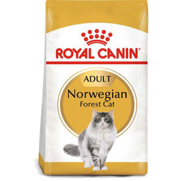 Royal Canin Katzenfutter Adult Geflügel für Langhaarkatzen 20kg – Bild 1 von 3