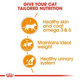 Produktbild von Royal Canin Katzenfutter Haut & Fell Stückchen in Gelee 12x85 g - 12 x 85 g