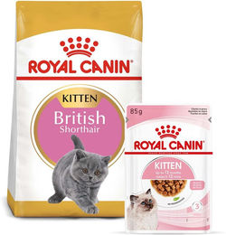 Produktbild von Royal Canin Kitten British Shorthair Futter Set mit 2kg Trockenfutter und 12x85g Stückchen in Soße - 12 x 85 g