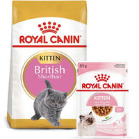 Produktbild von Royal Canin Kitten British Shorthair Futter Set mit 2kg Trockenfutter und 12x85g Stückchen in Soße - 12 x 85 g