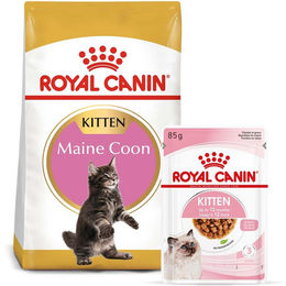 Produktbild von Royal Canin Kitten Maine Coon Futter Set mit 4kg Trockenfutter und 12x85g Kitten in Soße - 12 x 85 g