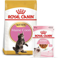 Produktbild von Royal Canin Kitten Maine Coon Futter Set mit 4kg Trockenfutter und 12x85g Kitten in Soße - 12 x 85 g