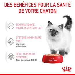 Royal Canin Kitten Mousse in Soße für Katzen 12x85 g - 12 x 85 g – Bild 1 von 2