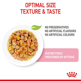 Royal Canin Kitten Nassfutter Stückchen in Gelee 48x85g – Bild 1 von 5