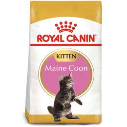 Royal Canin Kitten Trockenfutter Kroketten 2 x 10 kg – Bild 1 von 5