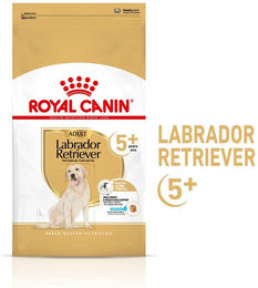 Produktbild von Royal Canin Labrador Retriever Adult 5+ Trockenfutter für Hunde ab 5 Jahren 2x12kg