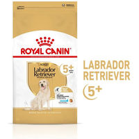 Produktbild von Royal Canin Labrador Retriever Adult 5+ Trockenfutter für Hunde ab 5 Jahren 2x12kg