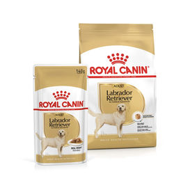 Royal Canin Labrador Retriever Adult Trockenfutter 3kg und Stückchen in Sauce 10x140g – Bild 1 von 3