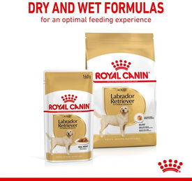 Royal Canin Labrador Retriever Adult Trockenfutter 3kg und Stückchen in Sauce 10x140g – Bild 1 von 1