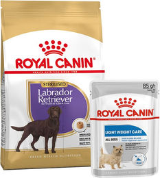Produktbild von Royal Canin Labrador Retriever Sterilised Trockenfutter 12kg und Light Weight Care Mousse 12x85g für große Hunderassen - 12 x 85 g