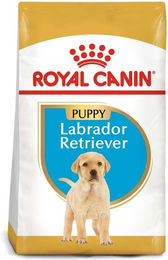 Produktbild von Royal Canin Labrador Retriever Welpenfutter Trockenfutter 2x12kg