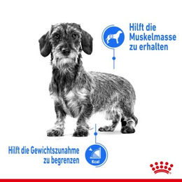 Royal Canin Light Weight Care Adult Mousse zur Gewichtskontrolle für Katzen 12x85 g - 12 x 85 g – Bild 1 von 2