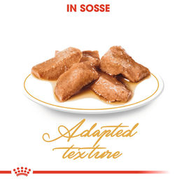 Royal Canin Maine Coon Adult Katzenfutter Stückchen in Soße 12 x 85 g - 12 x 85 g – Bild 1 von 2