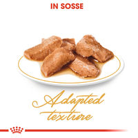 Produktbild von Royal Canin Maine Coon Adult Katzenfutter Stückchen in Soße 12 x 85 g - 12 x 85 g
