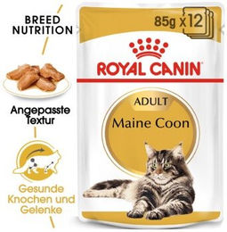 Royal Canin Maine Coon Adult Katzenfutter Stückchen in Soße 12x85 g - 12 x 85 g – Bild 1 von 2