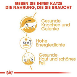 Produktbild von Royal Canin Maine Coon Adult Katzenfutter Stückchen in Soße 48x85 g