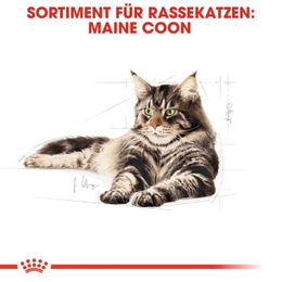 Royal Canin Maine Coon Adult Katzenfutter trocken Geflügel 2 kg - 2 kg – Bild 1 von 6