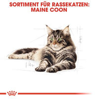 Produktbild von Royal Canin Maine Coon Adult Katzenfutter trocken Geflügel 2 kg - 2 kg