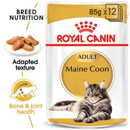 Royal Canin Maine Coon Adult Nasskatzenfutter 48x85g – Bild 1 von 2